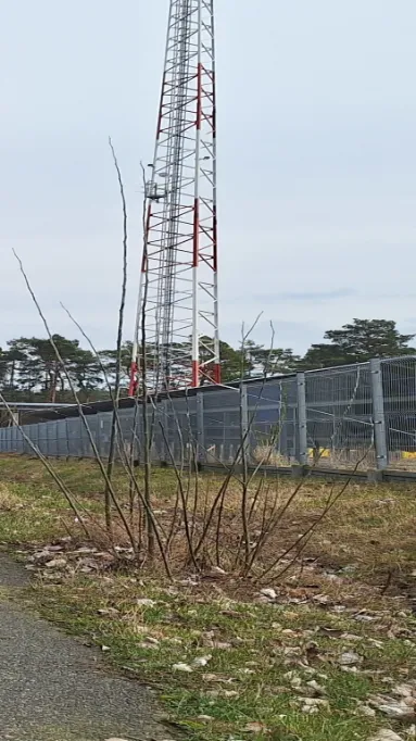 Zaświadczenie o nadaniu NIP